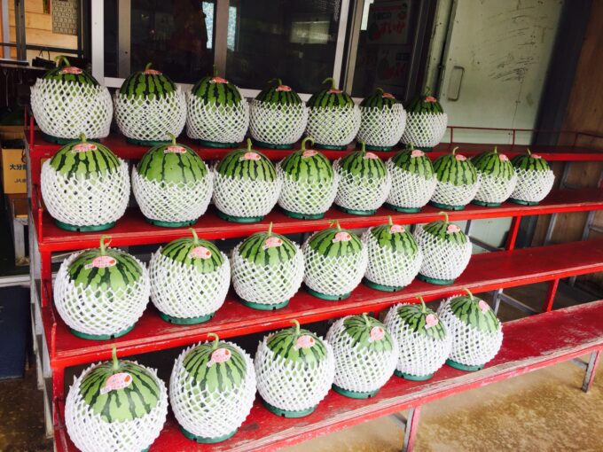 ちむどんどんロケ地今帰仁村